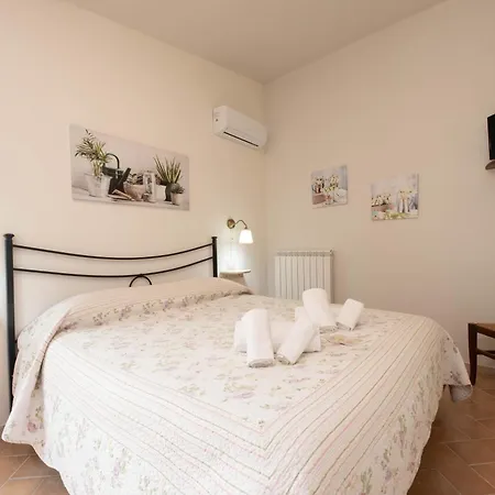 Diaccia Botrona Farm stay