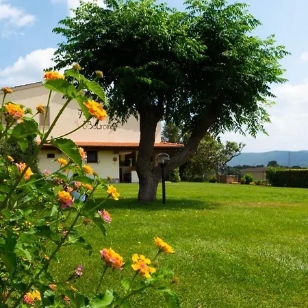 Diaccia Botrona Farm stay *